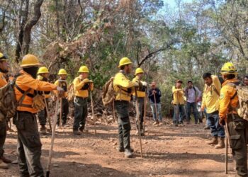 Controlado al 100 % incendio en Nuevo Urecho