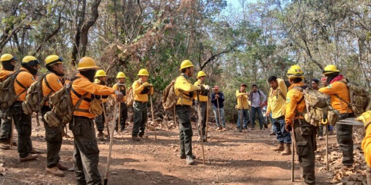 Controlado al 100 % incendio en Nuevo Urecho