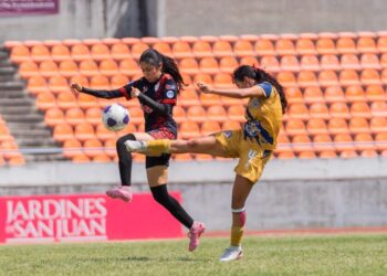 Las nicolaitas cayeron este miércoles en el juego de ida de cuartos ante Tigres de Álica.buscará en casa su boleto a semifinales