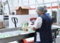 Más de 505 mil empleos formales en Michoacán se traducen en seguridad social y bienestar