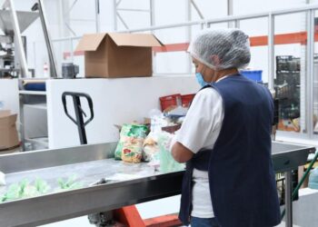 Más de 505 mil empleos formales en Michoacán se traducen en seguridad social y bienestar