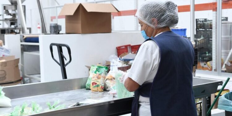 Más de 505 mil empleos formales en Michoacán se traducen en seguridad social y bienestar