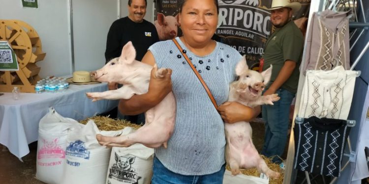 Turismo internacional lidera el tráfico aéreo en Michoacán