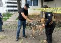 Colaboran IMPA y FGE por el bien animal